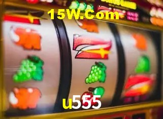 u555 - Support